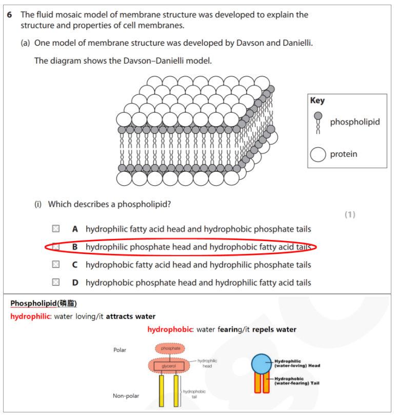 今年生物Revision Guide都“命中”了哪些题？