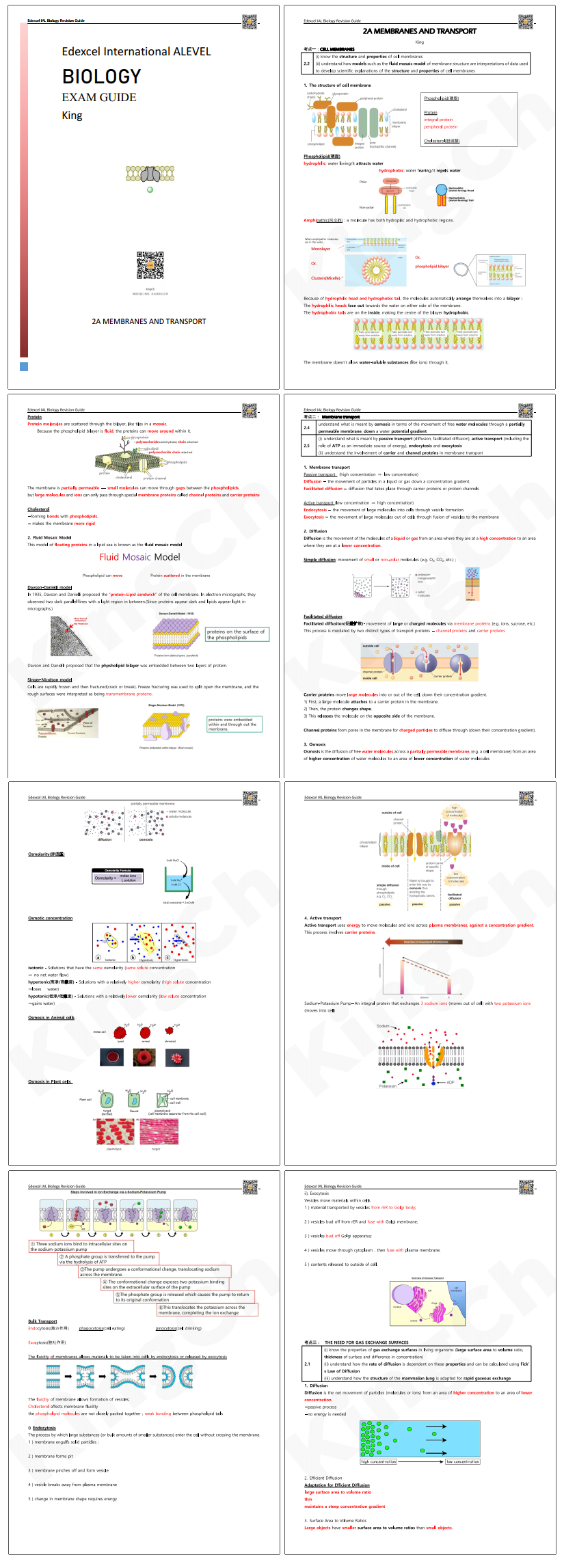 今年生物Revision Guide都“命中”了哪些题？