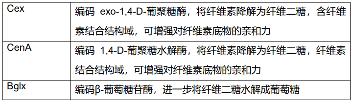 课题 | BNUZH-北京师范大学珠海校区iGEM-2022项目简介