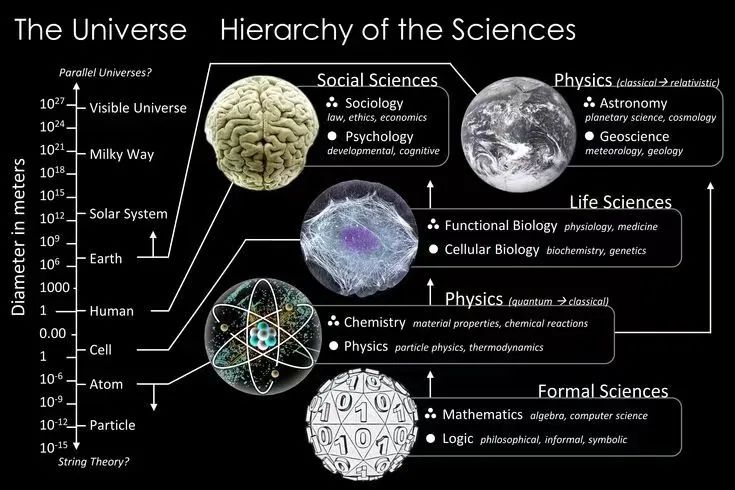 专业解读｜生物科学类包含哪些分支？职业方向有哪些？