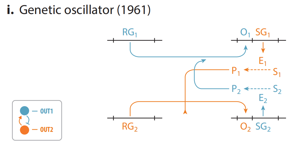 文献分享——Synthetic Biology Within the Operon Model and Beyond（1）