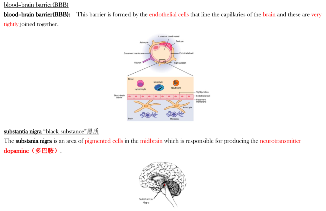 爱徳思生物u5文献 (scientific article)解读