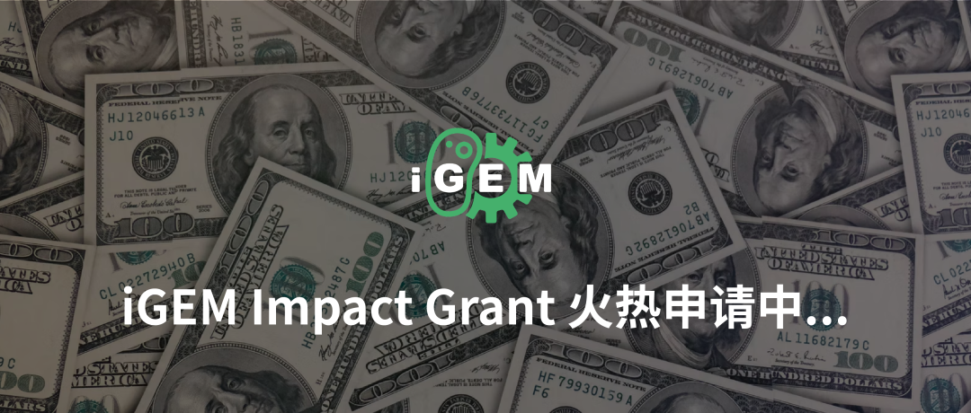 iGEM Impact Grants申请火热进行中！！仅剩十天！