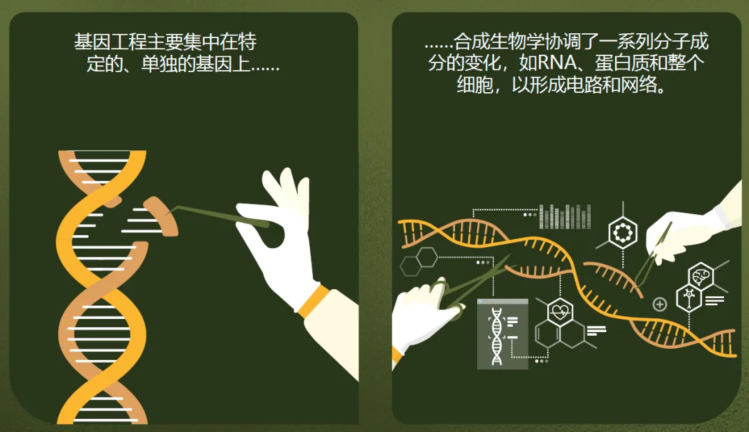 SquirrelHub | 从“格物”到“造物”，合成生物学何以进击蓝海产业？