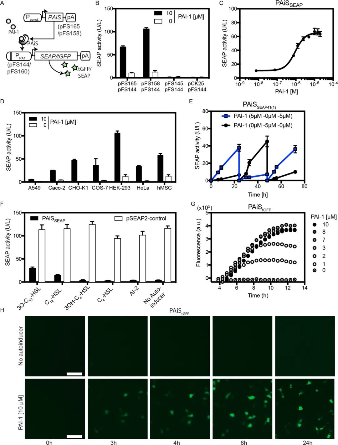 文献分享—— Quorum-Quenching Human Designer Cells for Closed-Loop