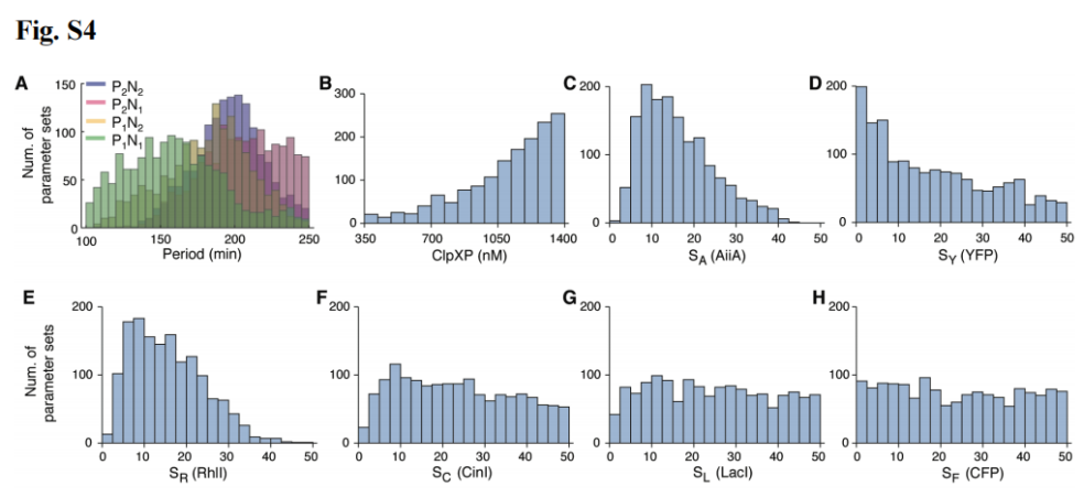 文献分享——Emergent genetic oscillations in a synthetic microbial