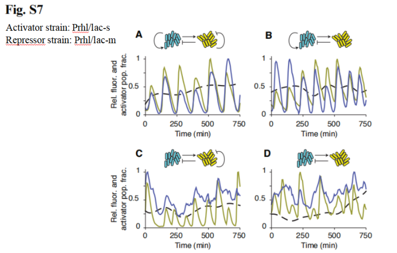 文献分享——Emergent genetic oscillations in a synthetic microbial