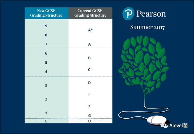 全面了解GCSE/IGCSE考试等级9-1：‘strong pass’大家都达到了吗？