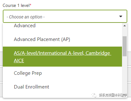 A-Level也能申美吗？大胆选择英美双申，让留学申请不再“走钢丝”！