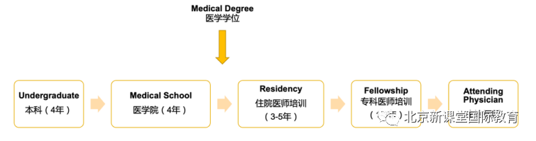 想选择美本生物专业？有这些职业方向可以选择