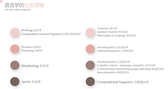 讲座回顾|语言学专业解析&本科申请案例分析