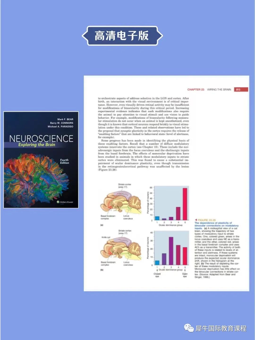 Brain Bee含金量高不高？零基础也能备考参赛？Brain Bee样题&培训