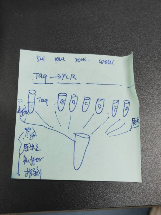 iGEM备赛进行中 | 华南理工实验室改造大肠杆菌，助力畜牧业的无抗、低抗养殖