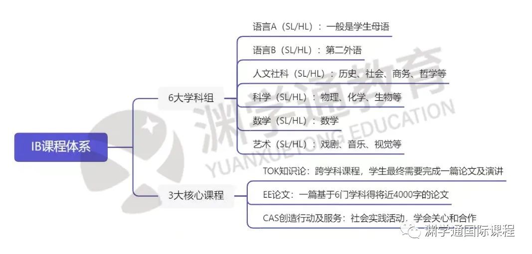 “非学霸不IB”，真的吗？IBO最新5月大考数据说出真相！