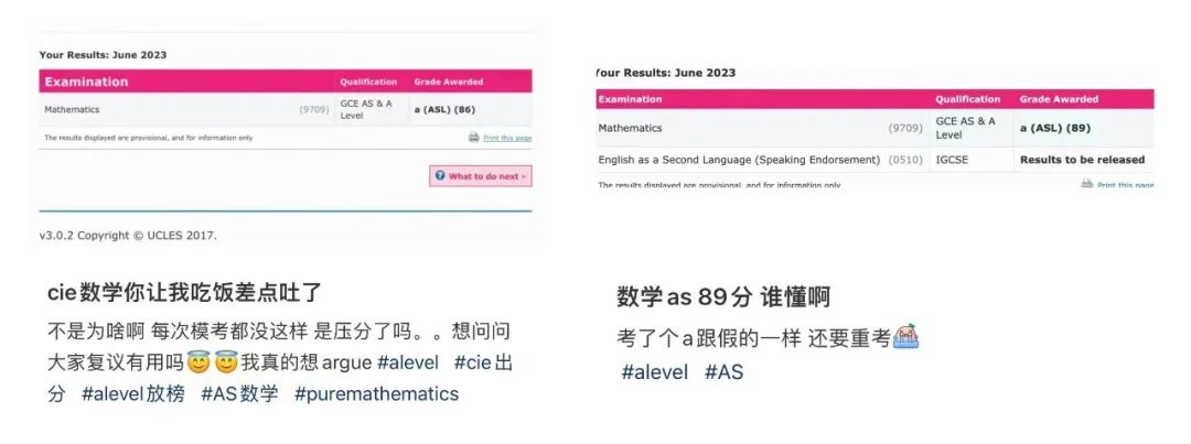 数学89分还要重考？中国考区分数线比其他区高20？今年AL放榜别太离谱...