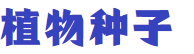 遣返、罚款、多年监禁，你的行李箱里没装啥不该有的东西吧