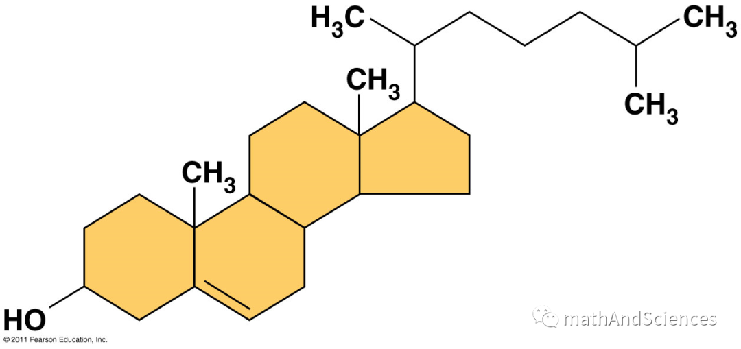 ACT 科学&生物常识-Macromolecules (生物大分子）