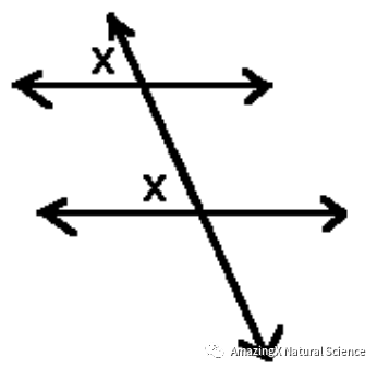 【数学竞赛】AMC必备公式整理！备考的同学赶紧收藏！