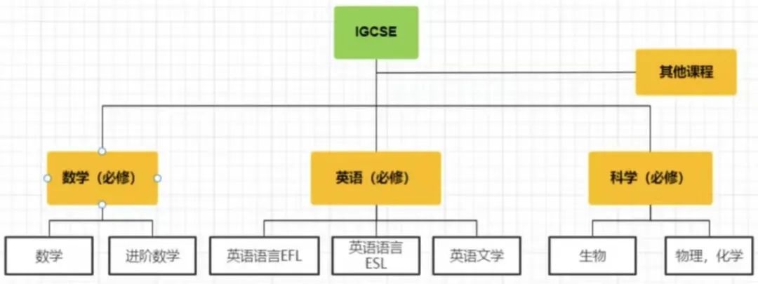 国内开设的IGCSE课程有哪些？IGCSE选课建议~