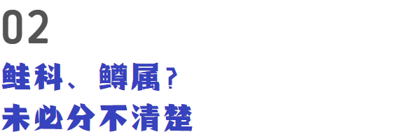 核污染海鲜吃不了？新疆：我们这也产“三文鱼”！