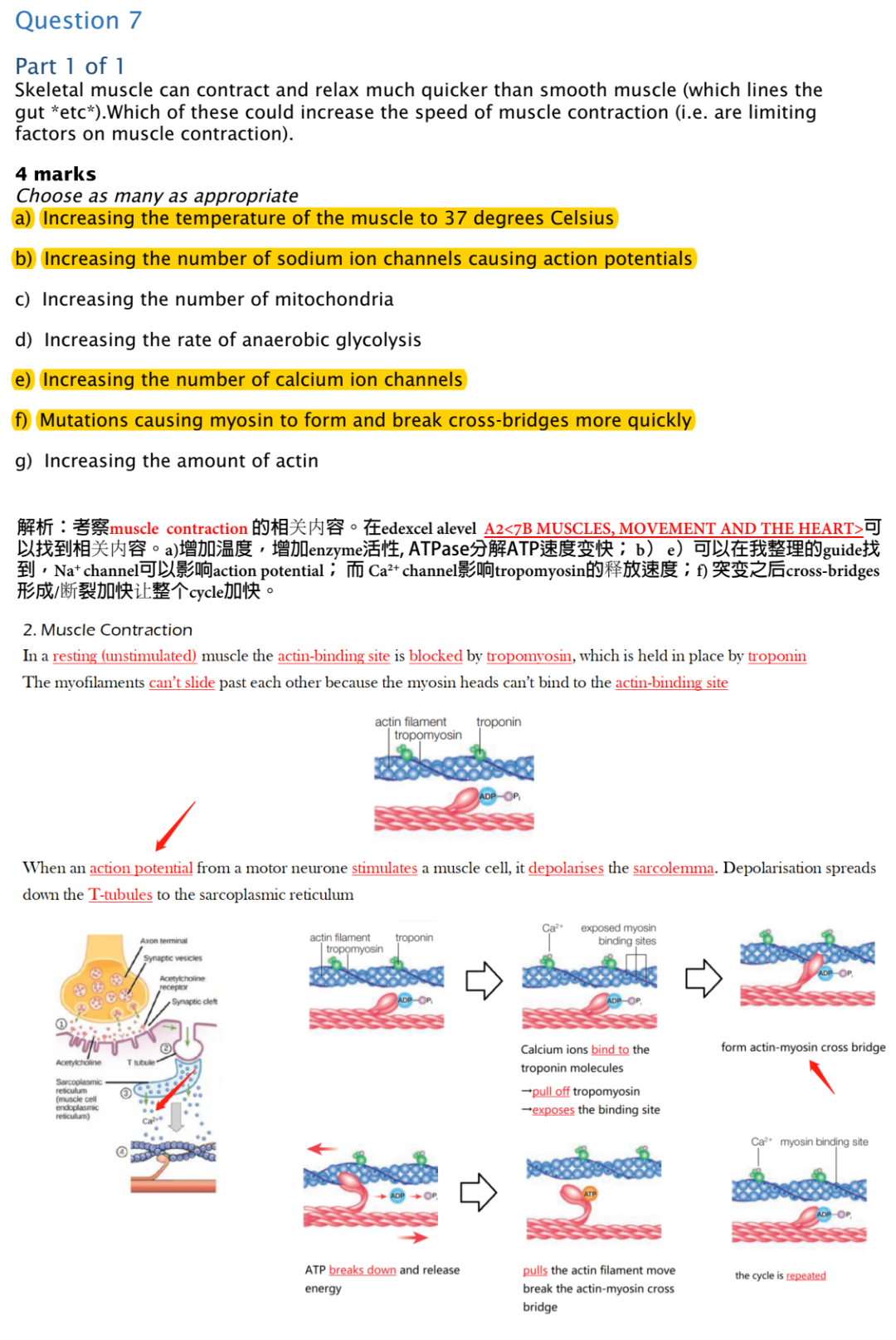 开课通知｜生物届顶流竞赛BBO，从现在开始，如何做好长线规划？