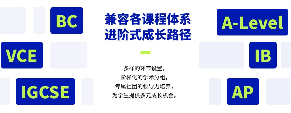 NEC竞赛规则/组队要求/初赛复赛时间轴！附NEC历年真题及词汇总结！