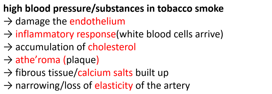 爱徳思生物Cardiovascular disease, CVD深度解析