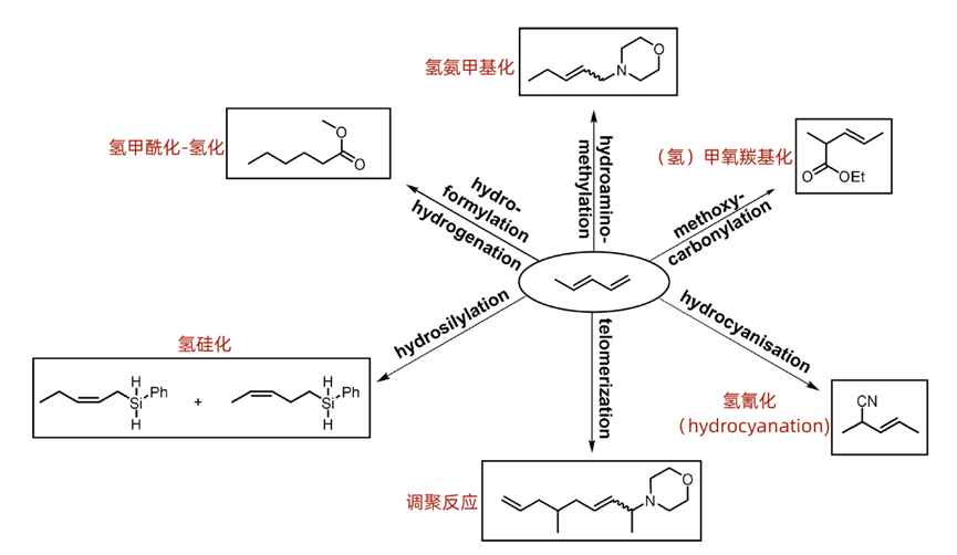 简单了解下1,3-二烯的制备和应用