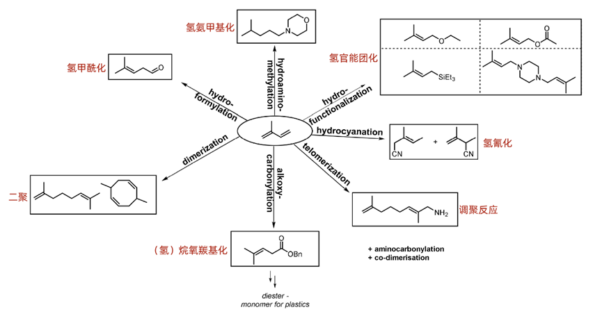 简单了解下1,3-二烯的制备和应用