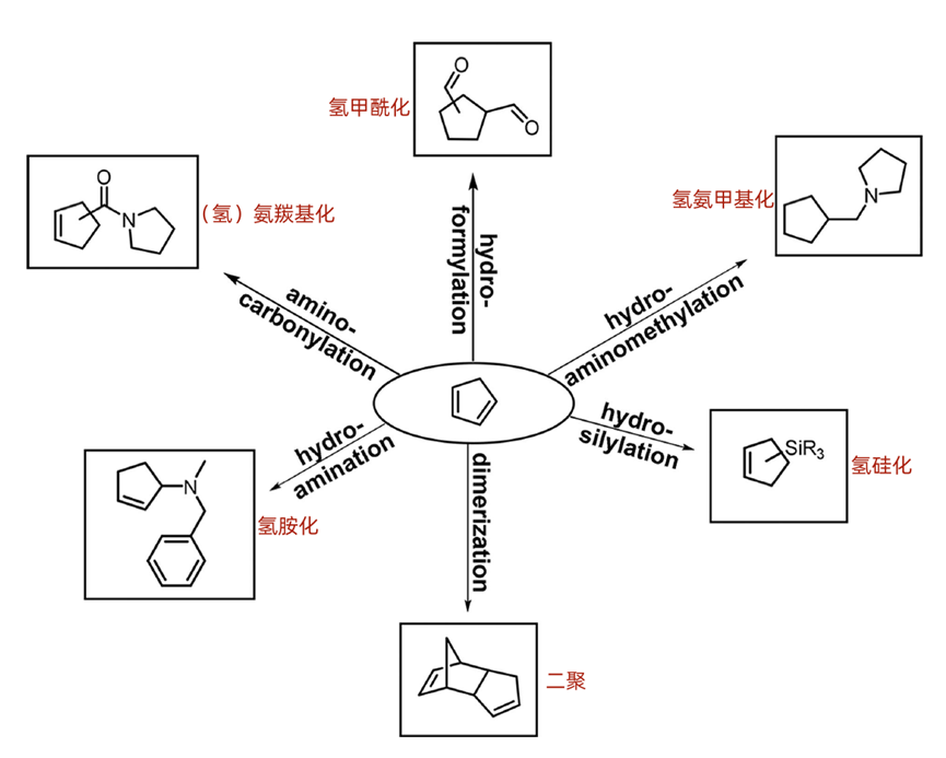 简单了解下1,3-二烯的制备和应用