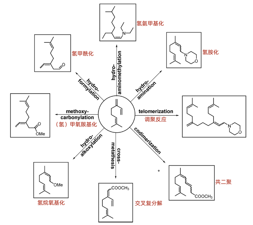 简单了解下1,3-二烯的制备和应用