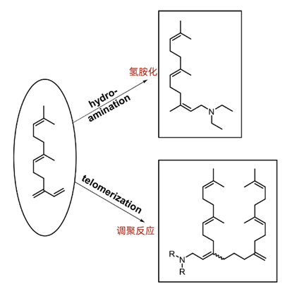 简单了解下1,3-二烯的制备和应用