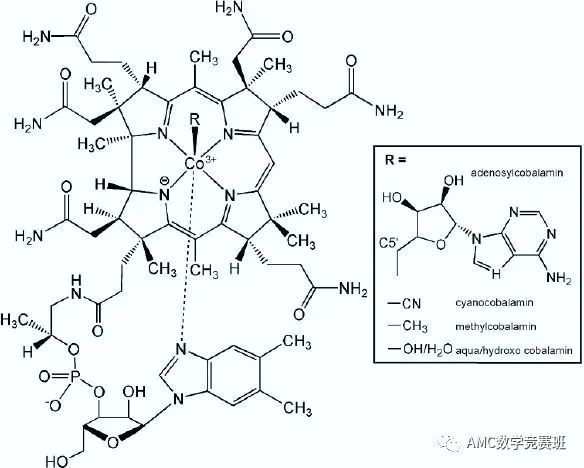 UKChO英国化学奥赛如何报名？UKChO竞赛考什么？UKChO竞赛含金量高不高？