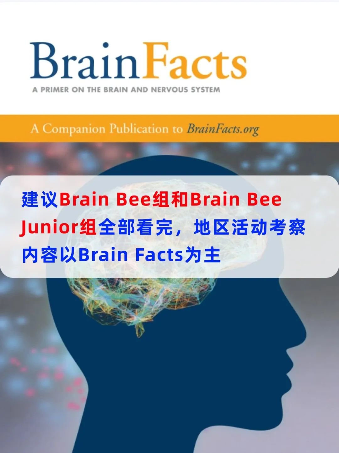 一文详解Brain Bee脑科学活动比赛时间/比赛模式/含金量/适合学生/备考攻略