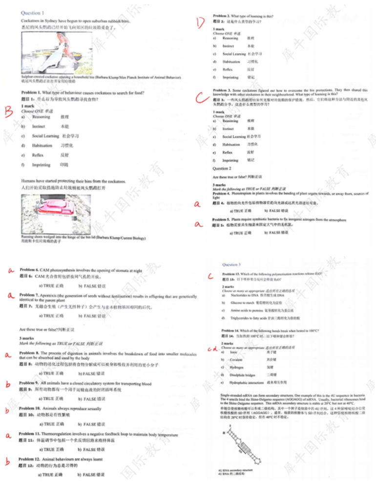 不同体系应该如何选择BBO&USABO生物竞赛？BBO&USABO竞赛开班中