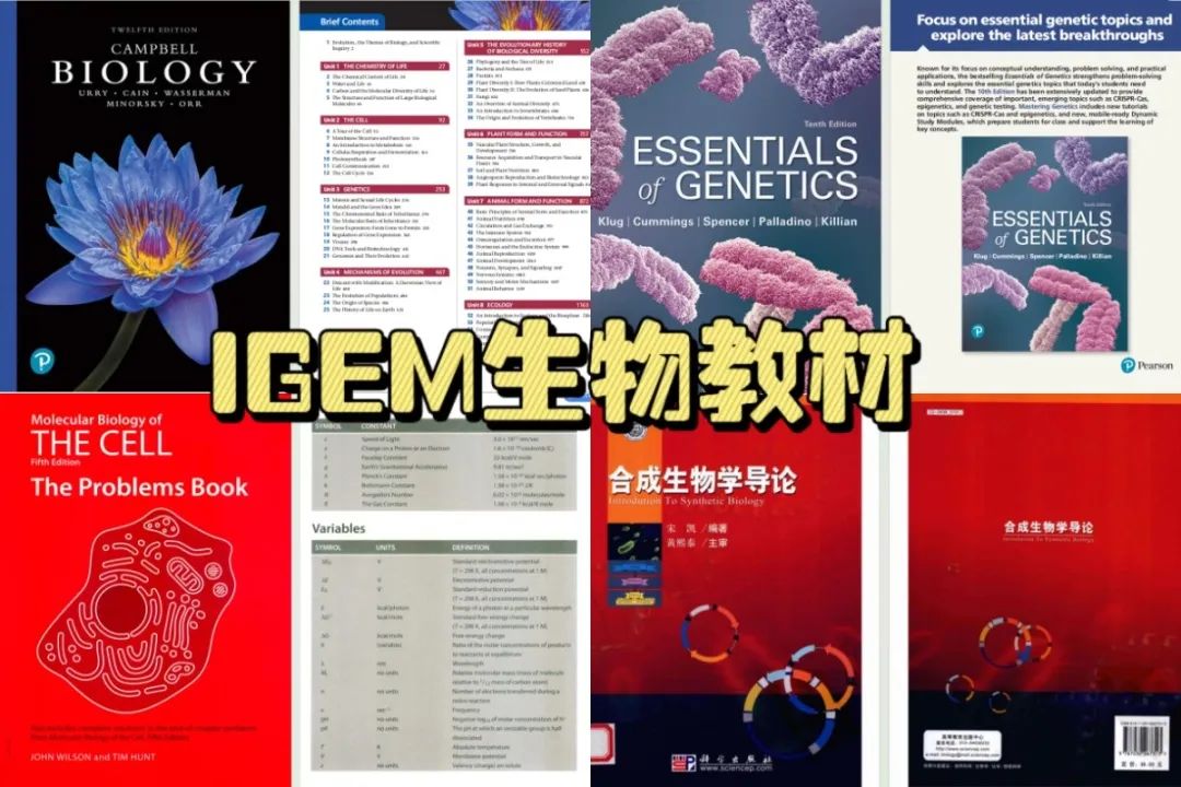 IGEM竞赛含金量高吗？附IGEM竞赛报名方式及备考书籍