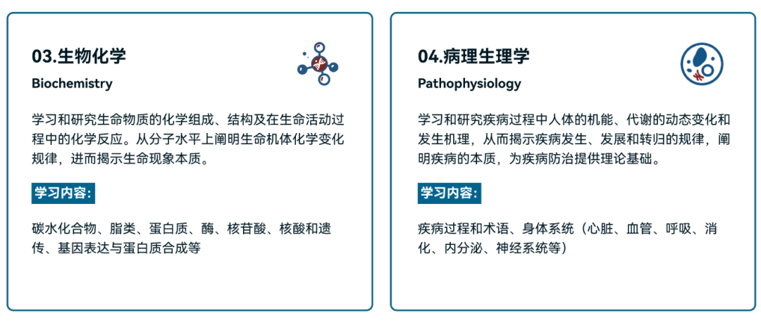 藤校G5录取生都在卷的4大国际生物竞赛，你能拿下哪个？