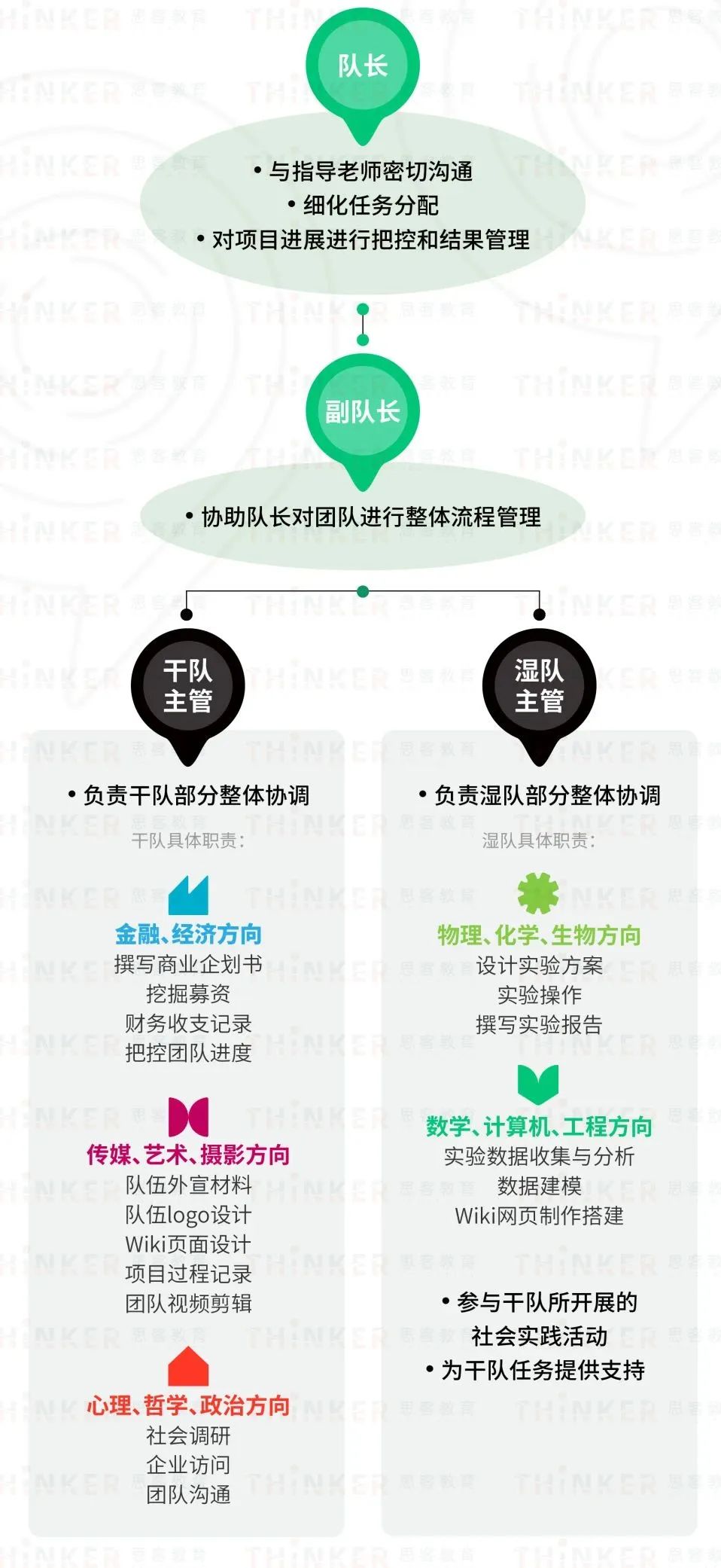 iGEM团队分工是怎样的？iGEM竞赛考点详解！