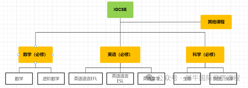 细看IGCSE课程和A-Level课程有什么关系和区别？IG/Al阶段学生如何规划规划~