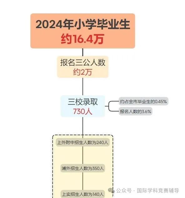 上海三公学校备考课程有哪些？2024年上海三公招生录取率怎么样呢？