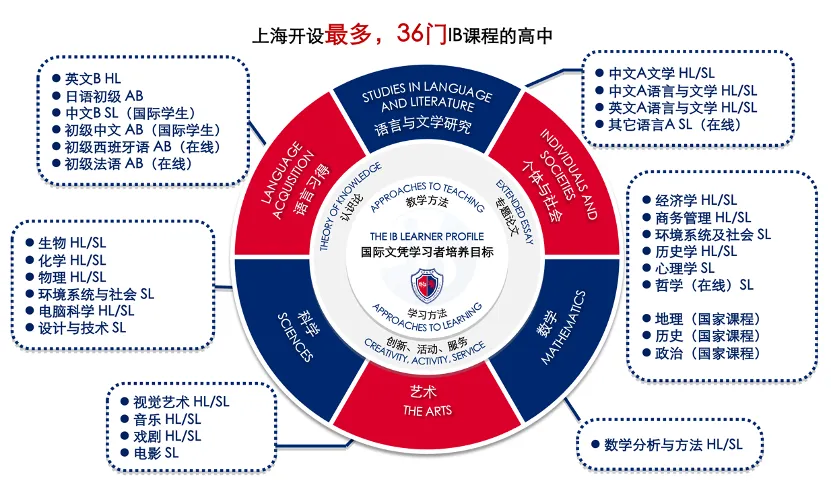 国际生必看：上海头部IB学校2024届爬藤、申牛剑战绩如何？