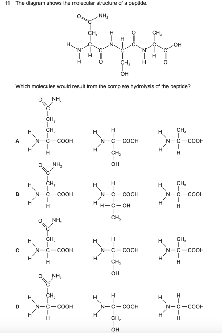 扫盲贴：CIE 生物 AS 究竟考什么？所谓的paper 1 2 3 究竟是啥？