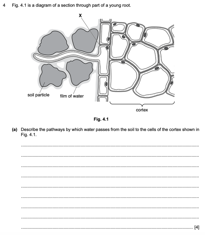 扫盲贴：CIE 生物 AS 究竟考什么？所谓的paper 1 2 3 究竟是啥？