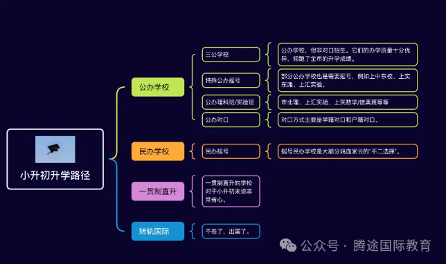 深度解析|2024上海三公录取数据！上海家长顿悟：我家的娃原来可以这样收获offer！