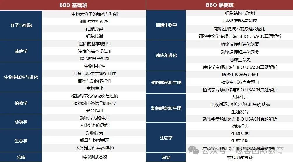 为什么要参加BBO竞赛？25年BBO竞赛报名链接/考试时间/考试内容一文讲清！