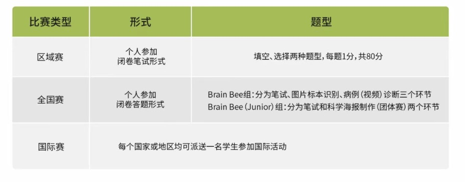 小学就可以参加的Brainbee脑科学大赛你了解多少？含金量/考试时间/考试形式/备考攻略