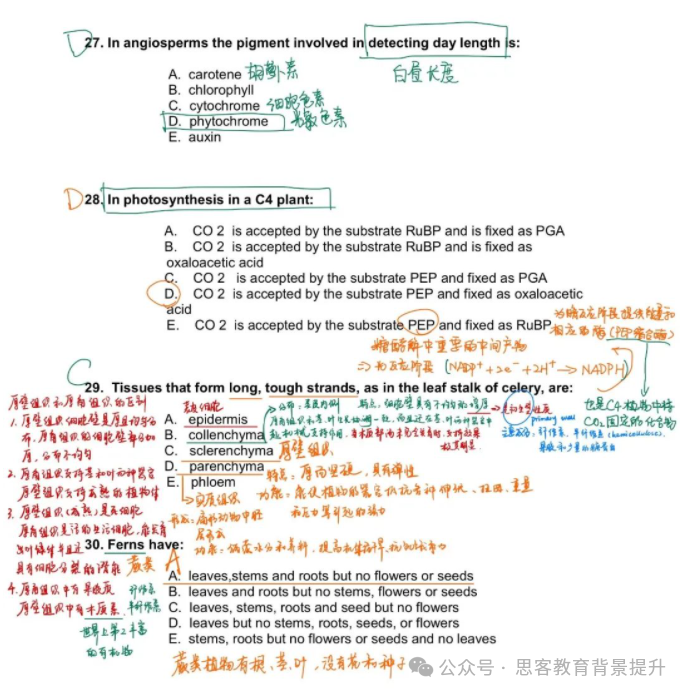 BBO竞赛难点解析！附BBO竞赛真题答案及课程