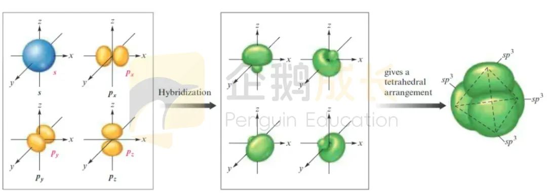 学习AP化学，这些知识点你能掌握90%吗？