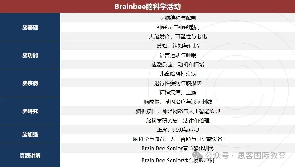 为什么要参加Brainbee竞赛？25年Brainbee报名网址/适合学生/考试内容超全详解！