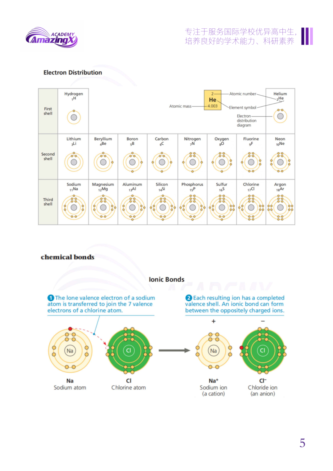 【BBO辅导】一文搞懂BBO生物竞赛，不同年级BBO学习规划